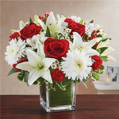 Healing Tears&trade; Red & White